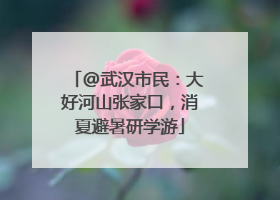 @武汉市民：大好河山张家口，消夏避暑研学游