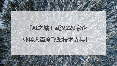 AI之城！武汉229家企业接入百度飞桨技术支持