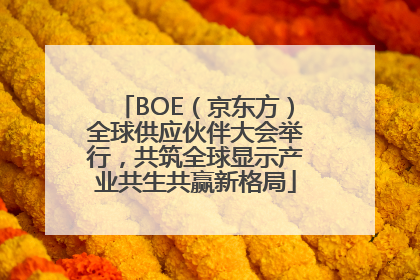 BOE（京东方）全球供应伙伴大会举行，共筑全球显示产业共生共赢新格局
