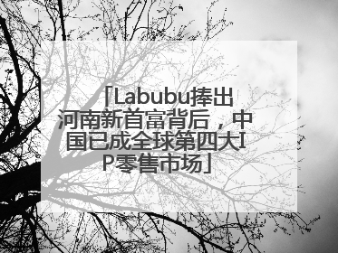 Labubu捧出河南新首富背后，中国已成全球第四大IP零售市场